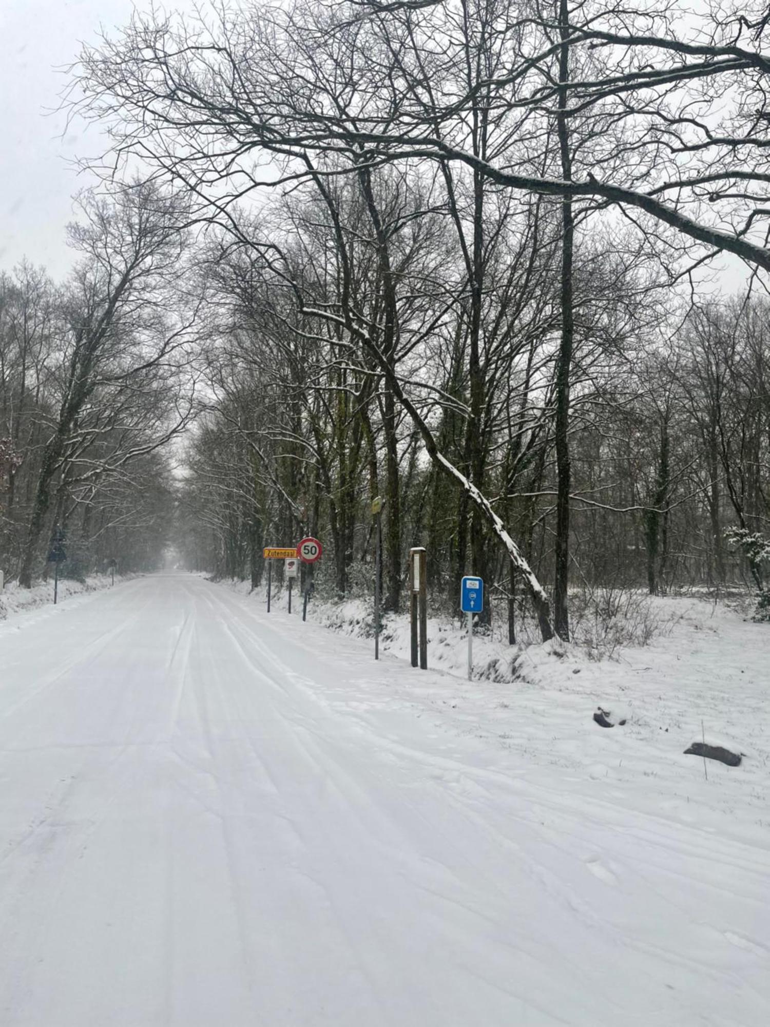 זוטנדאל Chalet Sint-Hubertus Du Bois מראה חיצוני תמונה
